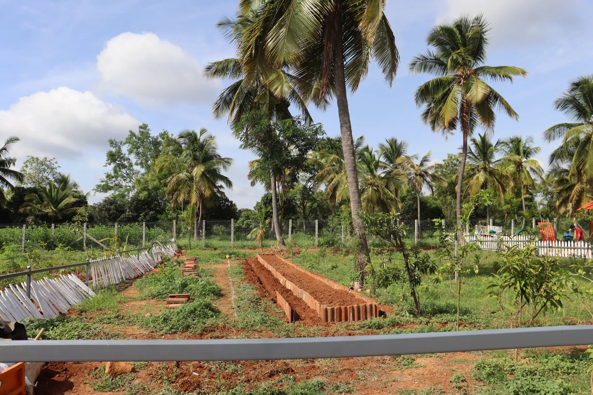 Rishyamukha Vintage natural farmland